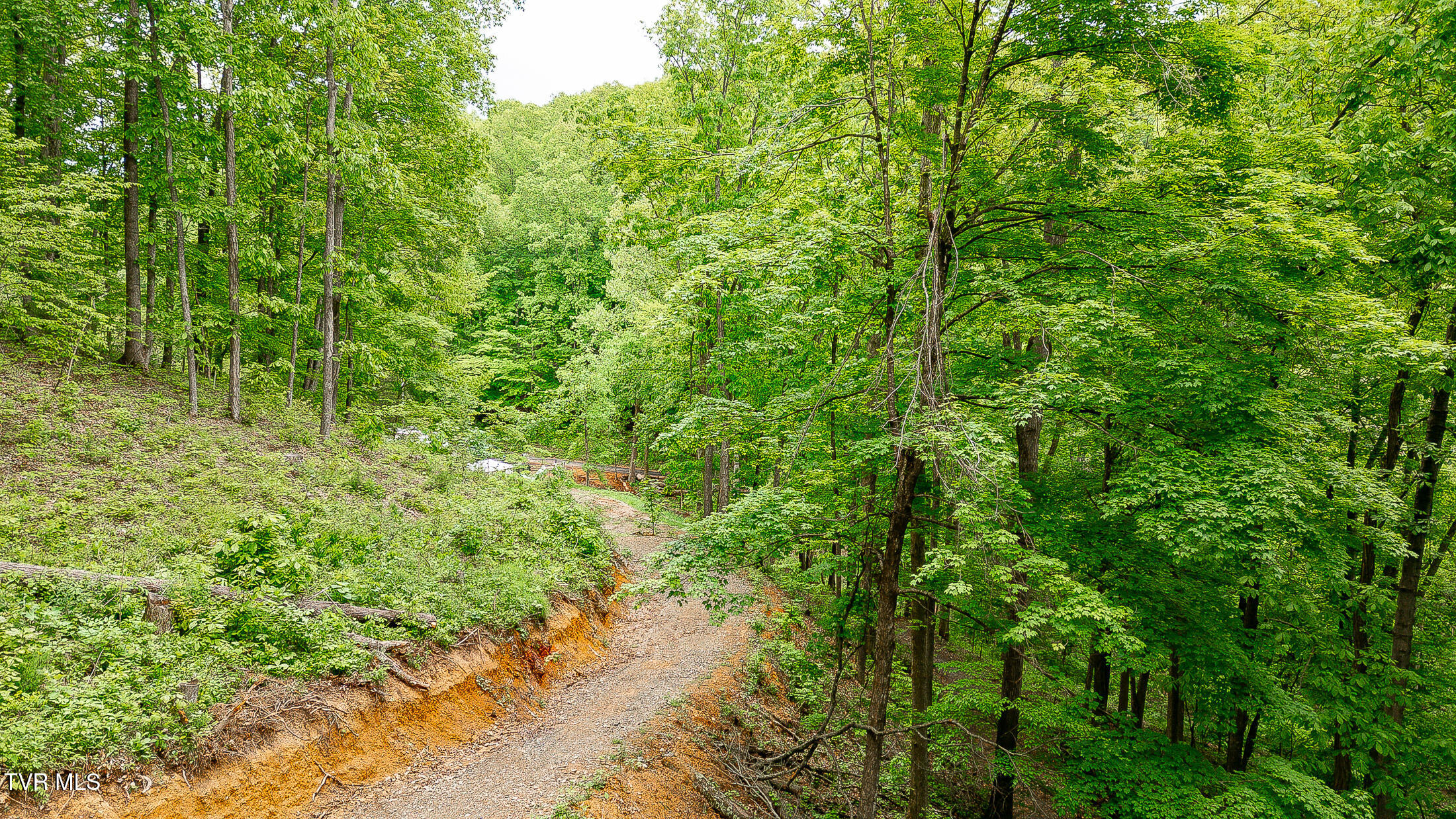 394 Bishop Hollow Road, Elizabethton, Tennessee image 12