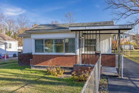 Photo of 1510 Chilhowie Avenue, Johnson City, TN 37601 (MLS # 9988324)