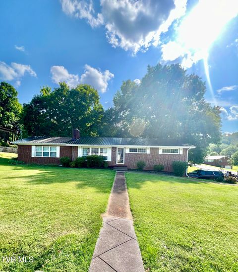 Photo of 2703 Schumway Drive, Johnson City, TN 37601 (MLS # 9997557)