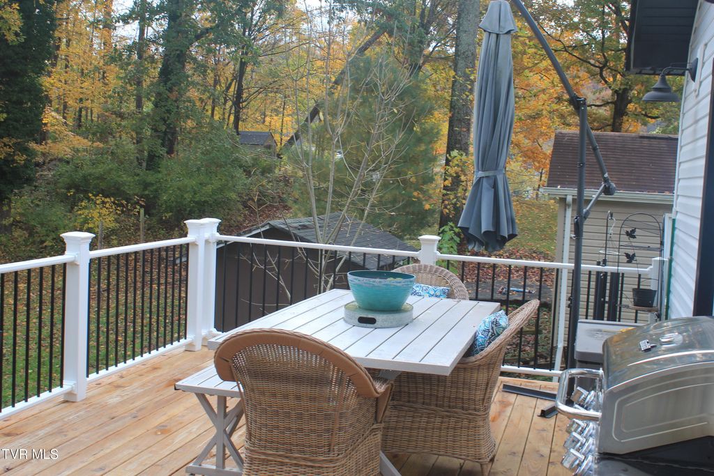 Photo of 215 Stafford Street, Bristol, TN 37620 (MLS # 9987777)