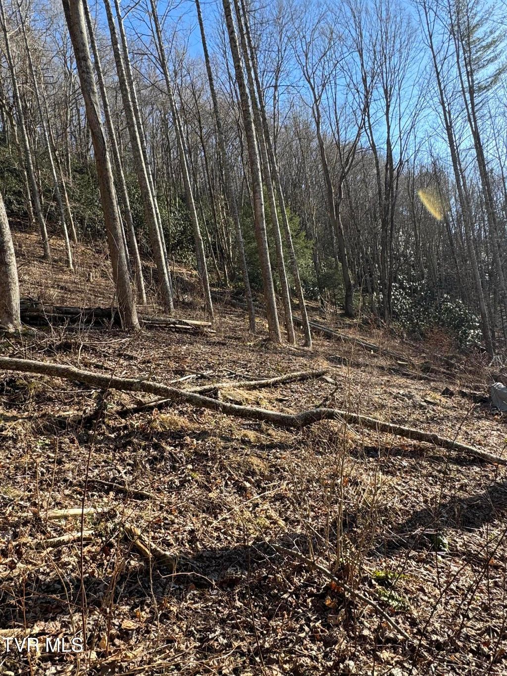 Photo of 6020 Forge Creek Road, Mountain City, TN 37683 (MLS # 9983741)