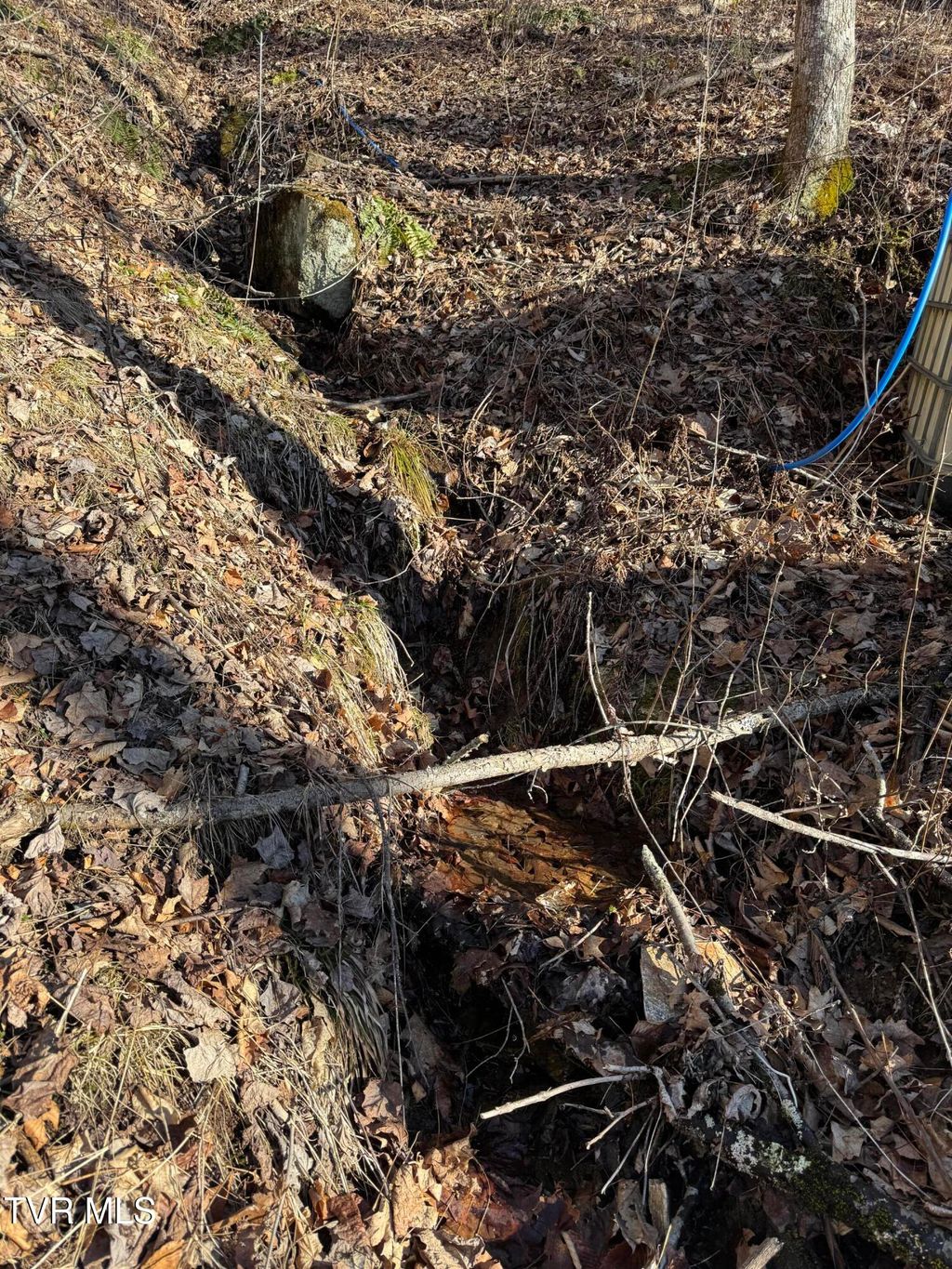 Photo of 6020 Forge Creek Road, Mountain City, TN 37683 (MLS # 9983741)