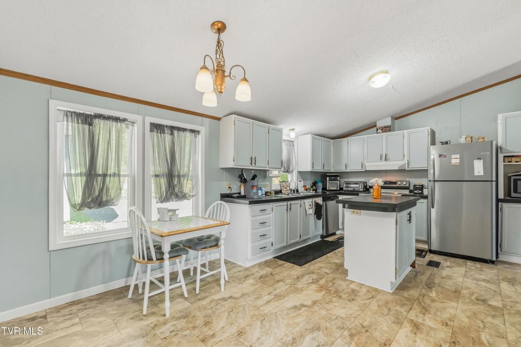 Photo of 207 Lane Street, Church Hill, TN 37642 (MLS # 9994597)