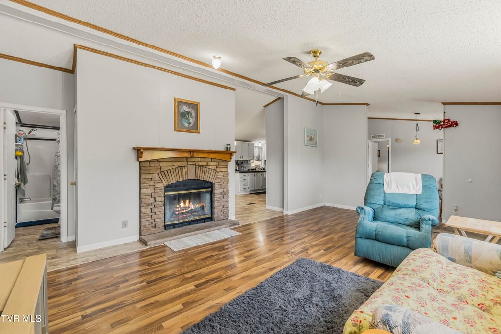 Photo of 207 Lane Street, Church Hill, TN 37642 (MLS # 9994597)