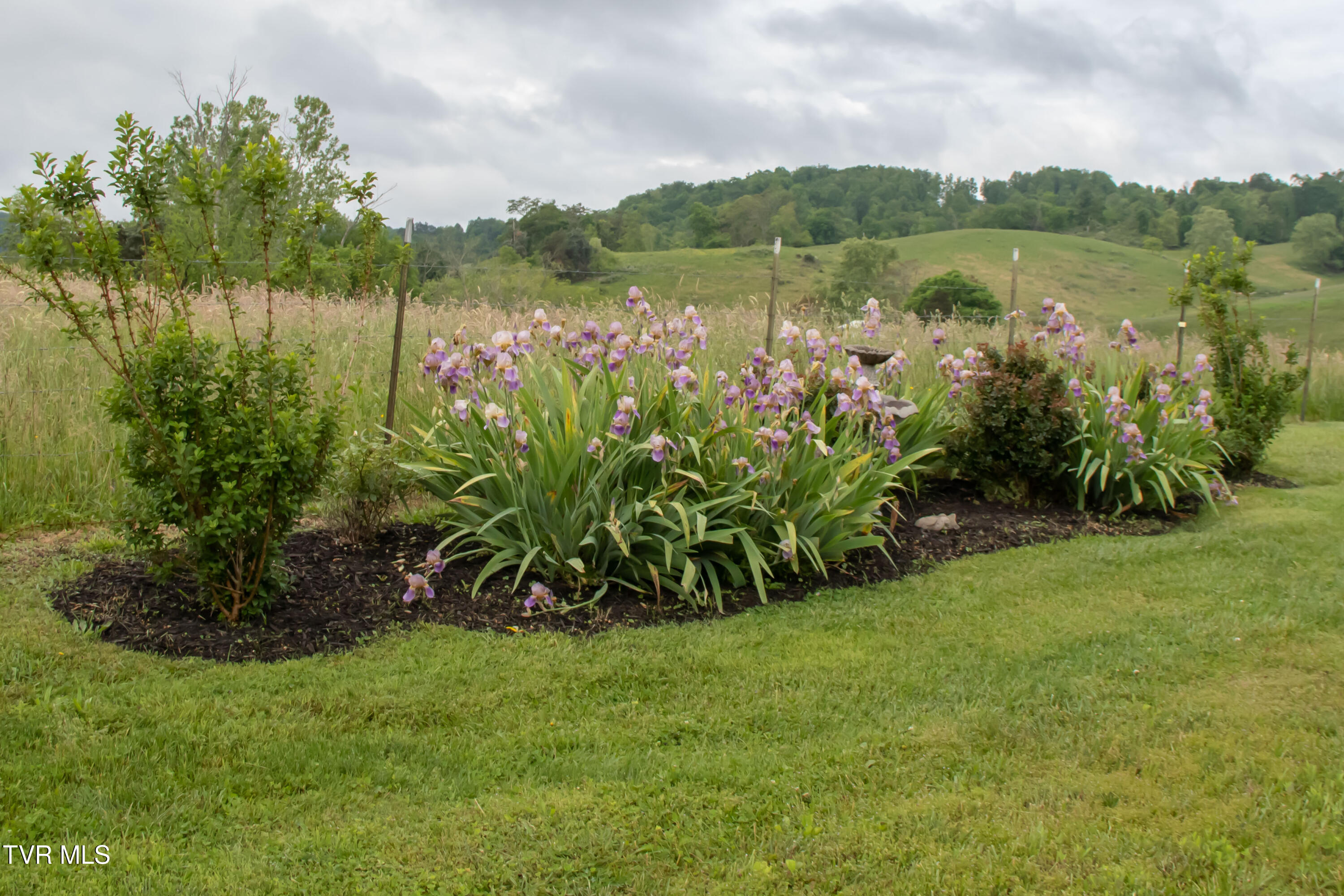 120 Greendale Court, Elizabethton, Tennessee image 48