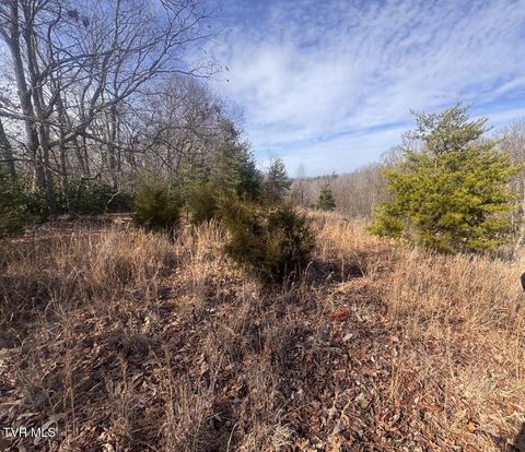 Vacant Land For Sale - TBD Jones Circle<br/> Unicoi County, Unicoi, TN 37692