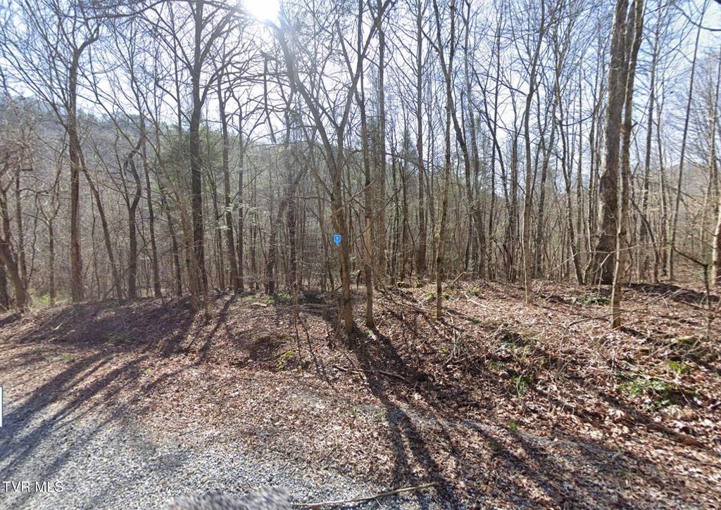 Photo of 115 Kiowa Way, Del Rio, TN 37727 (MLS # 9988072)