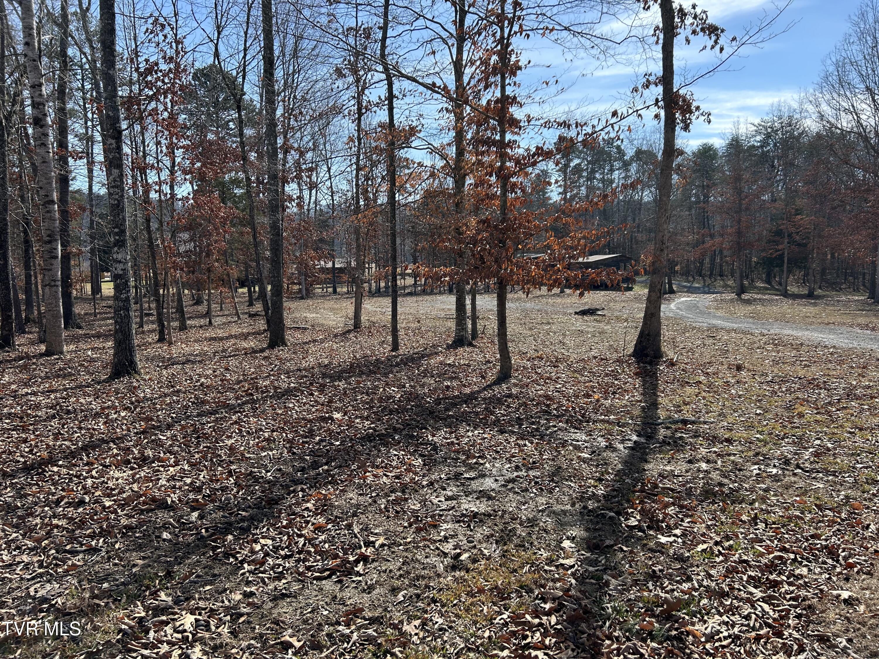 4865 Gap Creek Road, Bulls Gap, Tennessee image 12