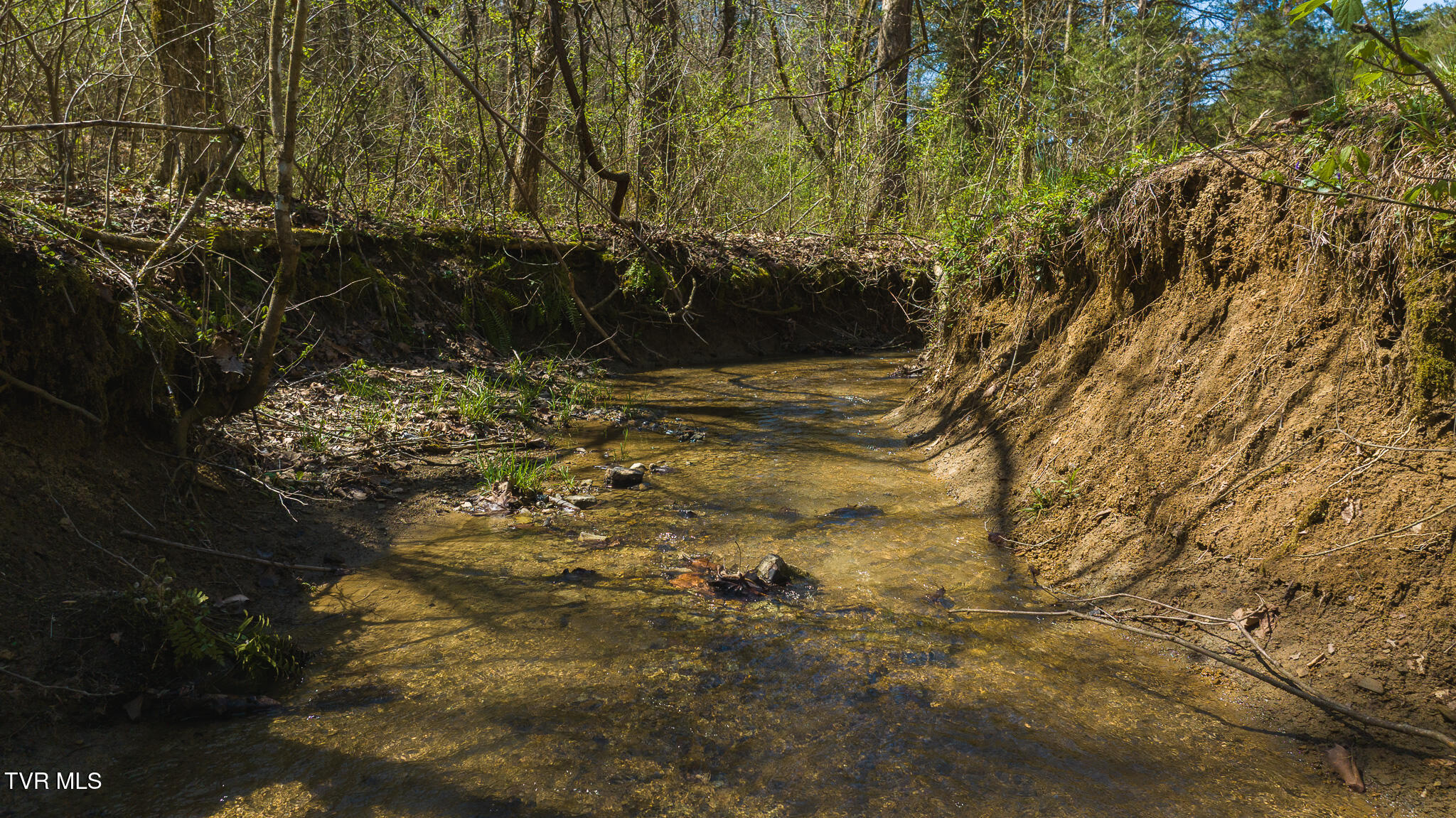 512 Hwy 70, Kyles Ford, Tennessee image 14