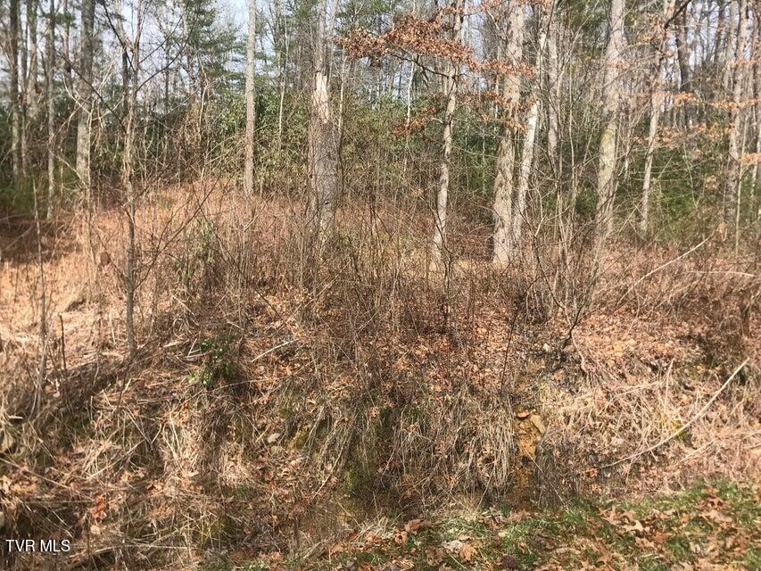 00 Hidden Drive, Mountain City, Tennessee image 1