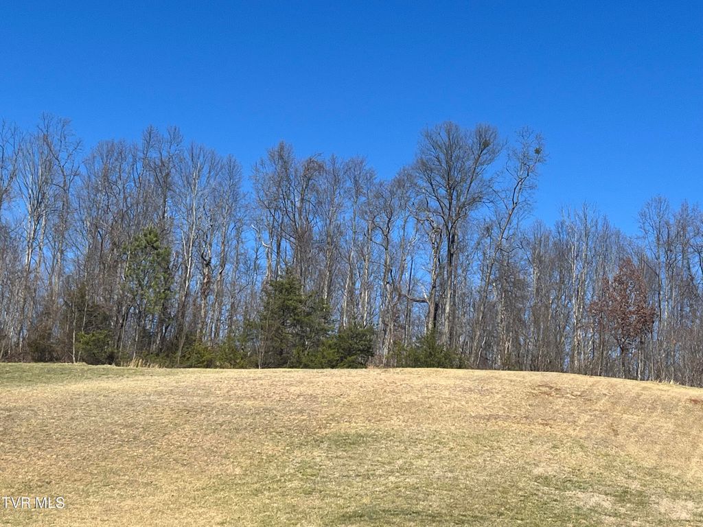 Photo of 381 Golf Ridge Drive, Kingsport, TN 37664 (MLS # 9991722)