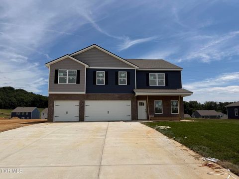 Homes For Sale - 527 Fieldcrest Road<br/> Washington County County, Blountville, TN 37617