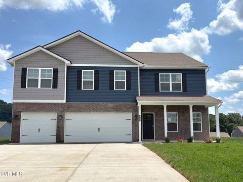 Homes For Sale - 527 Fieldcrest Road<br/> Blountville, TN 37617