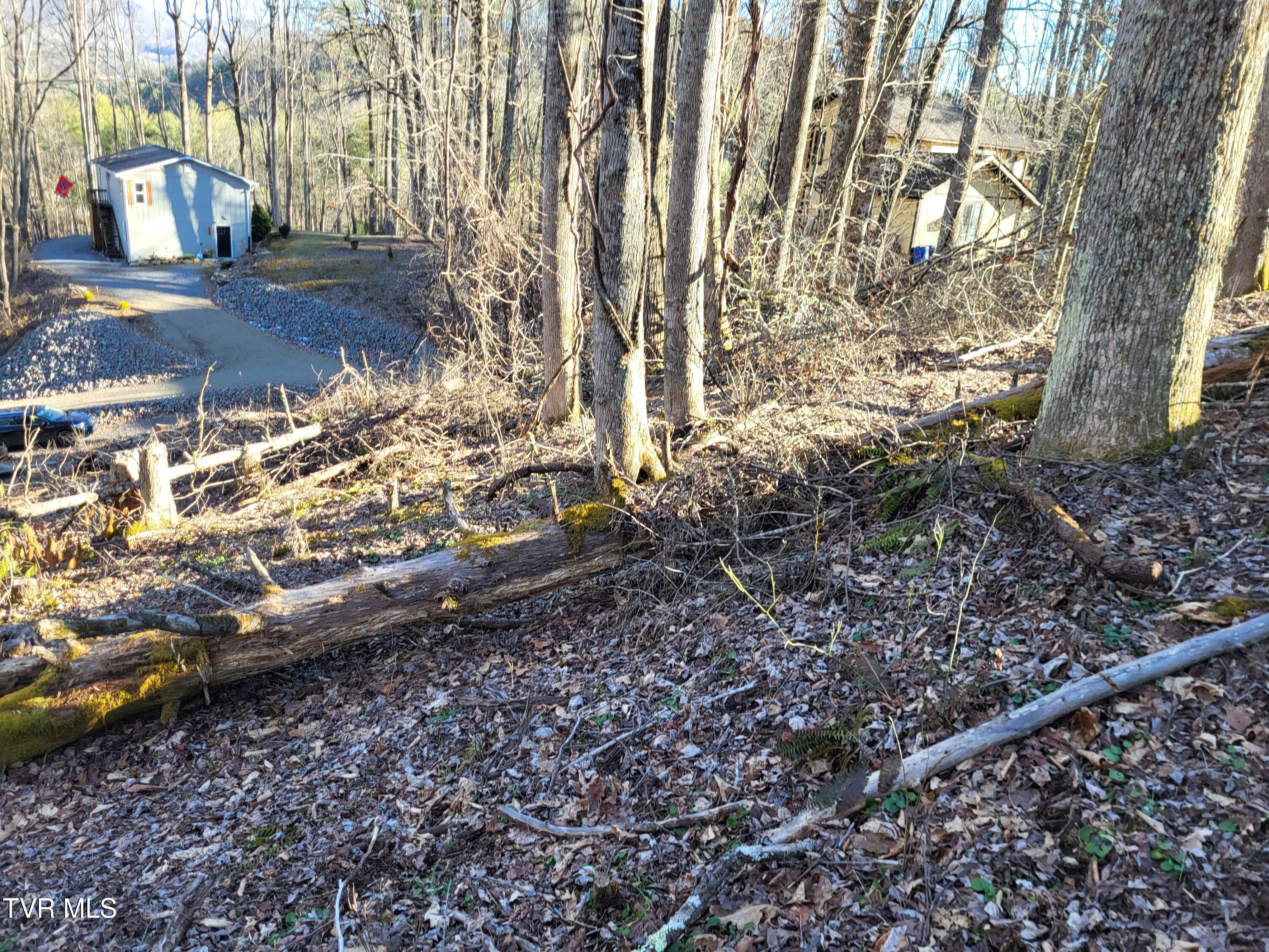 Tbd Hoot Owl Ridge Road, Mountain City, Tennessee image 5