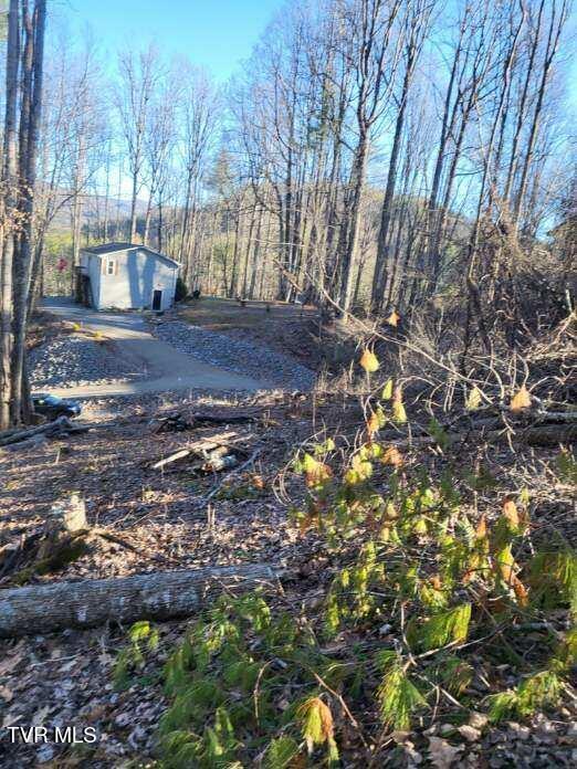 Tbd Hoot Owl Ridge Road, Mountain City, Tennessee image 8