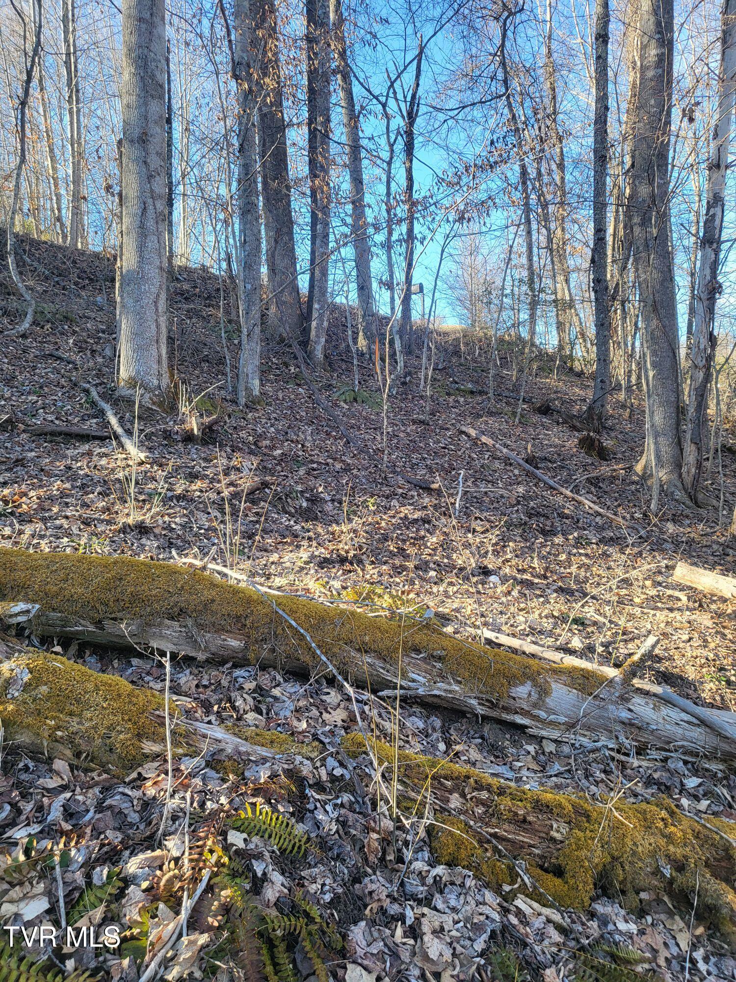 Tbd Hoot Owl Ridge Road, Mountain City, Tennessee image 6