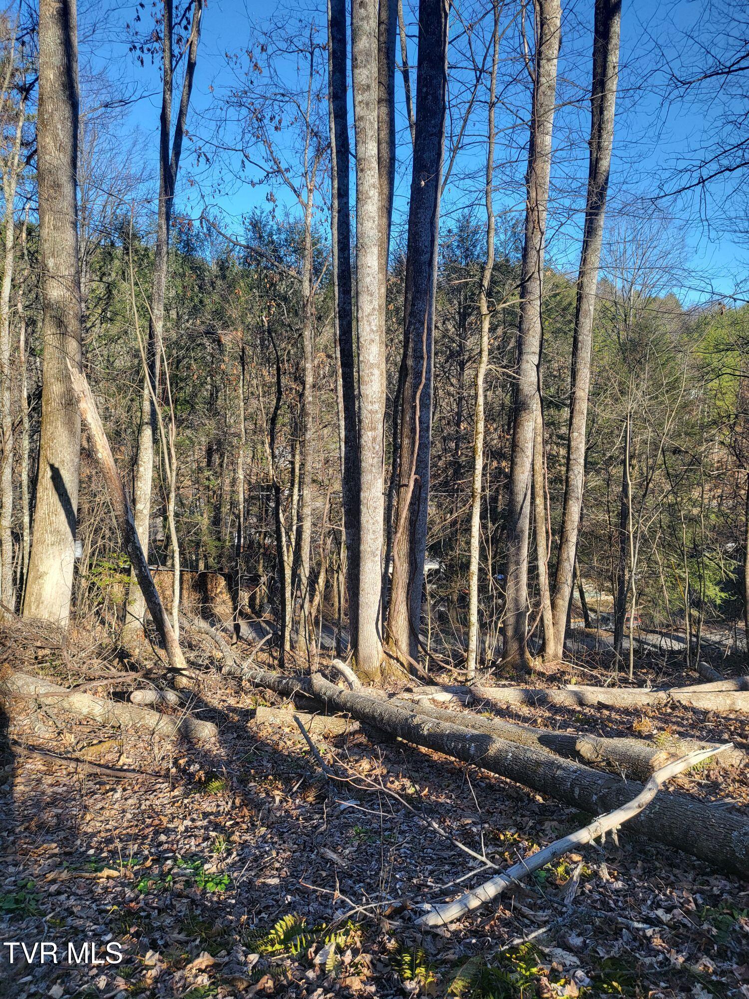 Tbd Hoot Owl Ridge Road, Mountain City, Tennessee image 7