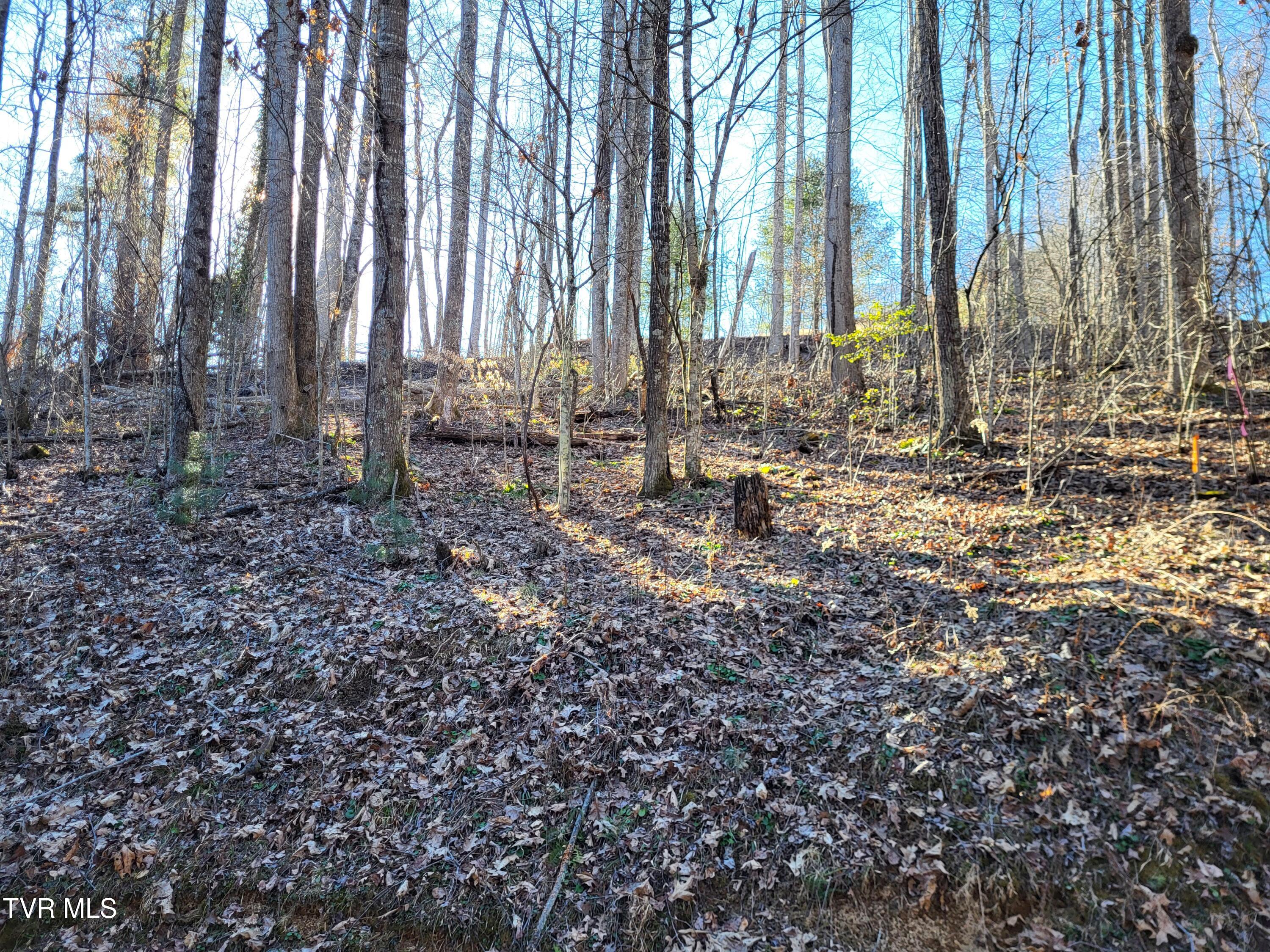 Tbd Hoot Owl Ridge Road, Mountain City, Tennessee image 3