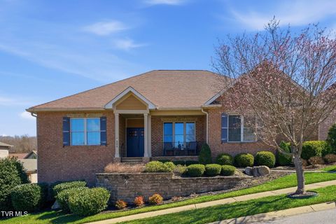 Photo of 306 Harbor Approach, Johnson City, TN 37601 (MLS # 9992428)