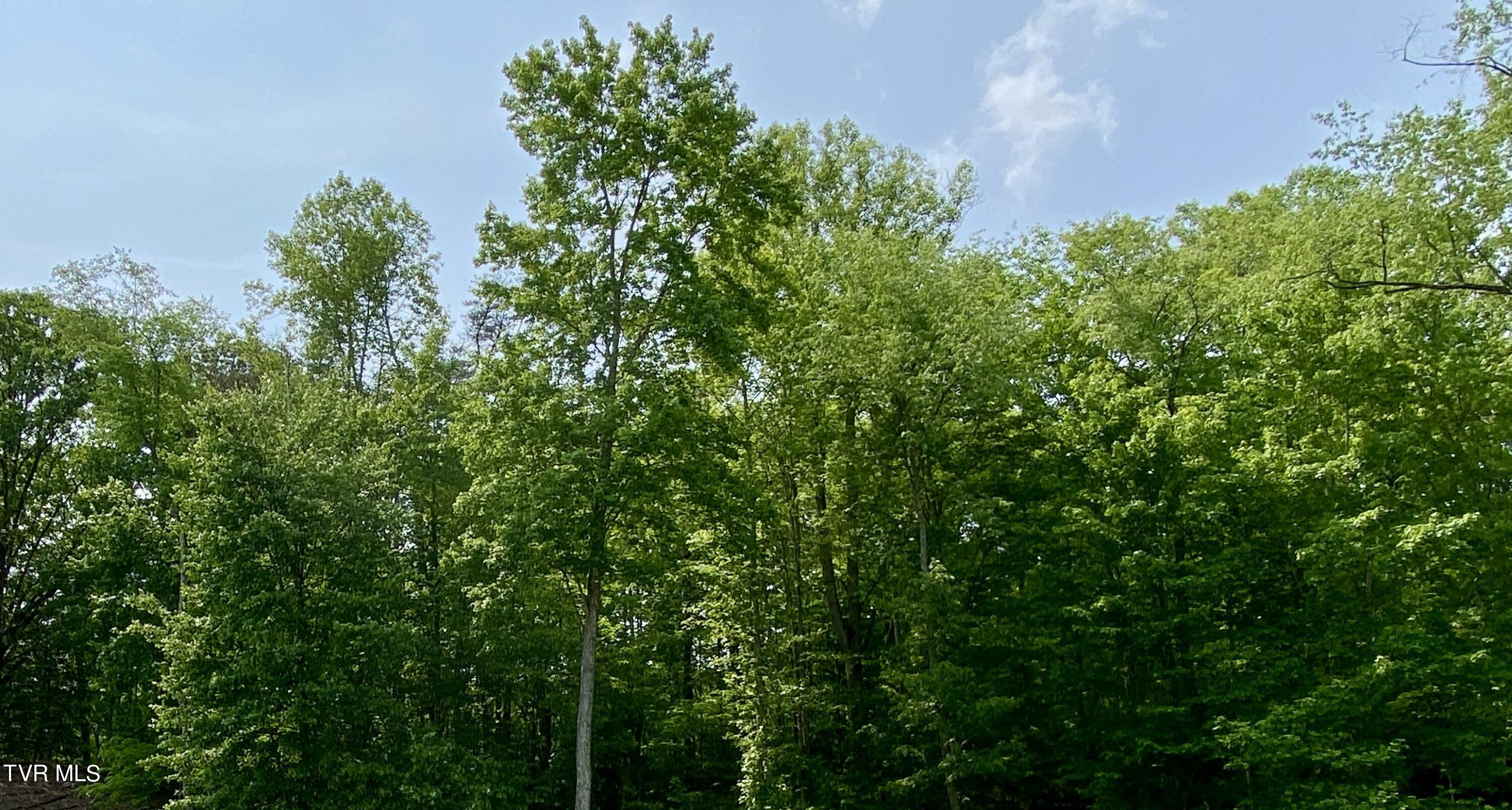 310 Pickle Hollow Road, Saltville, Virginia image 37