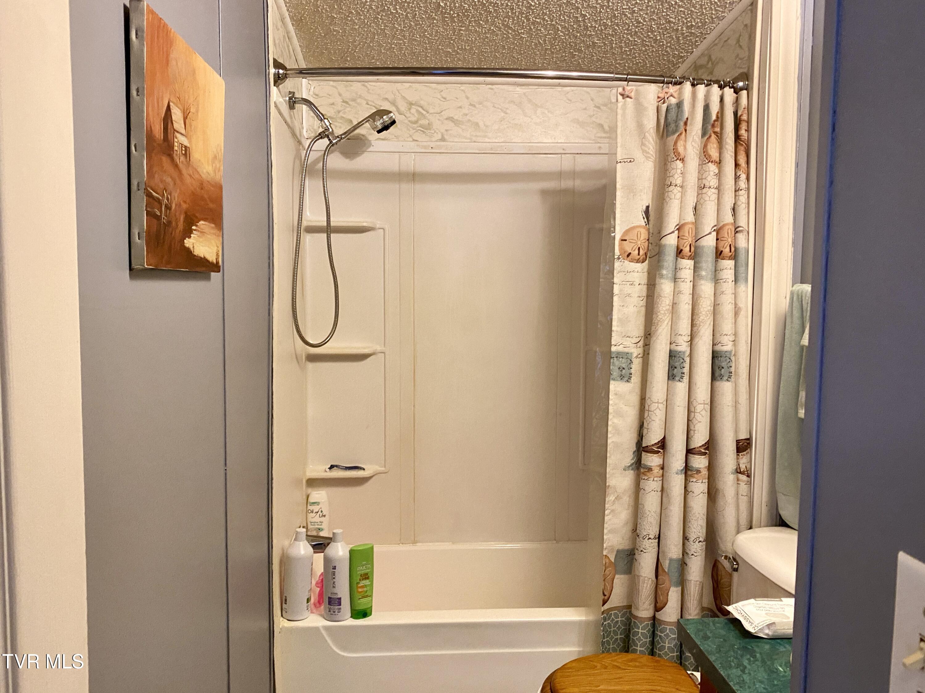 310 Pickle Hollow Road, Saltville, Virginia image 18