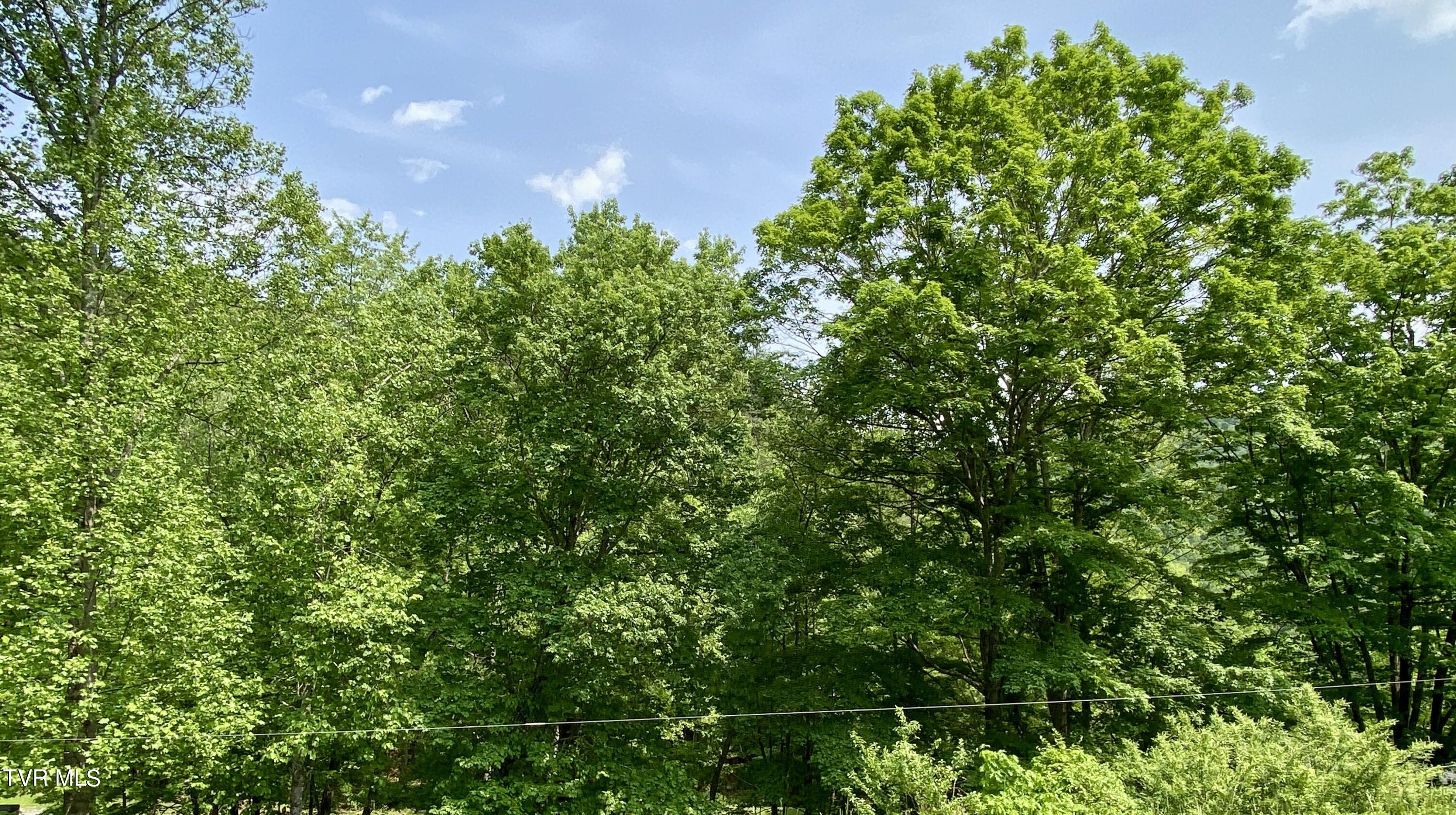 310 Pickle Hollow Road, Saltville, Virginia image 36