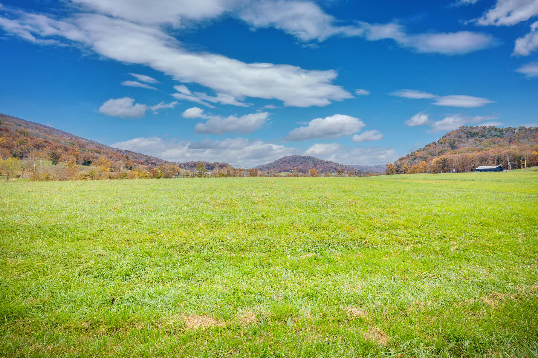 7456 A P Carter Highway, Hiltons, Virginia image 30