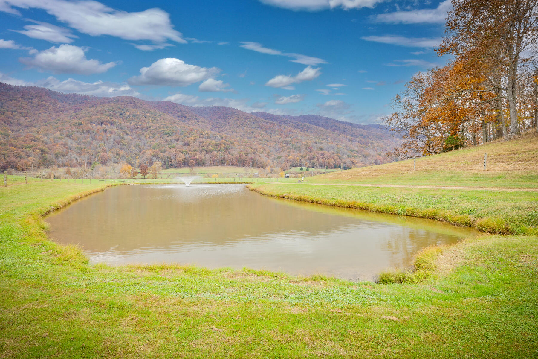 7456 A P Carter Highway, Hiltons, Virginia image 18