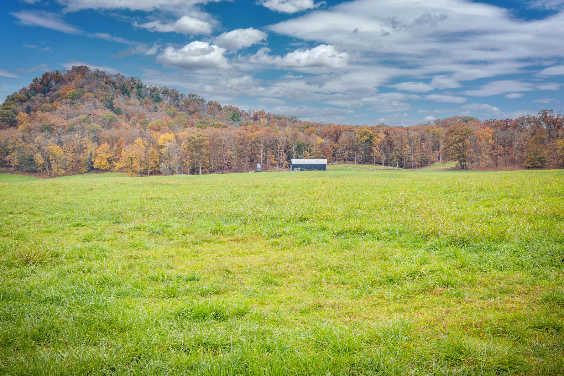 7456 A P Carter Highway, Hiltons, Virginia image 33