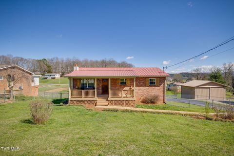 895 Choctaw Drive Chuckey TN 37641