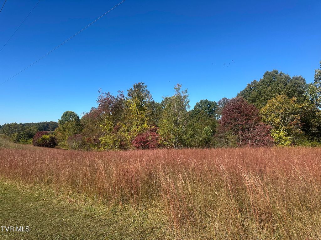Photo of 113 Briarpatch Court, Fall Branch, TN 37656 (MLS # 9987049)