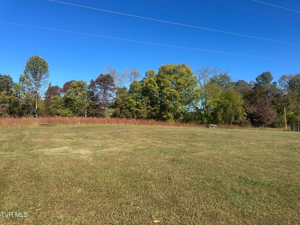 Photo of 113 Briarpatch Court, Fall Branch, TN 37656 (MLS # 9987049)