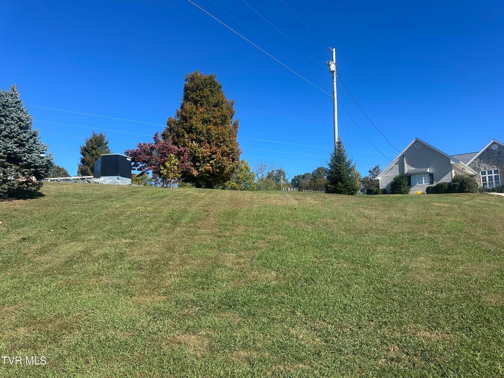 Photo of 113 Briarpatch Court, Fall Branch, TN 37656 (MLS # 9987049)