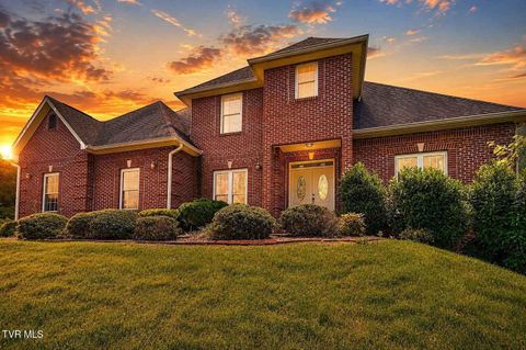 Photo of 23047 Lone Eagle Drive, Bristol, VA 24202 (MLS # 9997442)