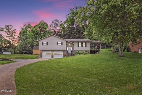 Photo of 912 Sherbrooke Circle, Mount Carmel, TN 37645 (MLS # 9996062)