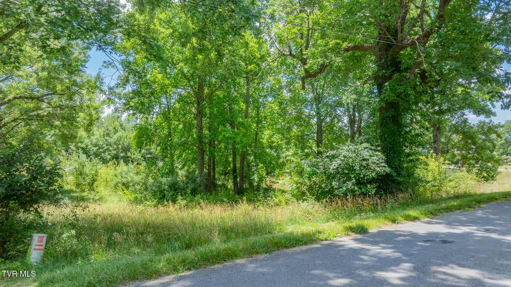 Photo of 199 Stuffle Street, Kingsport, TN 37660 (MLS # 9996990)