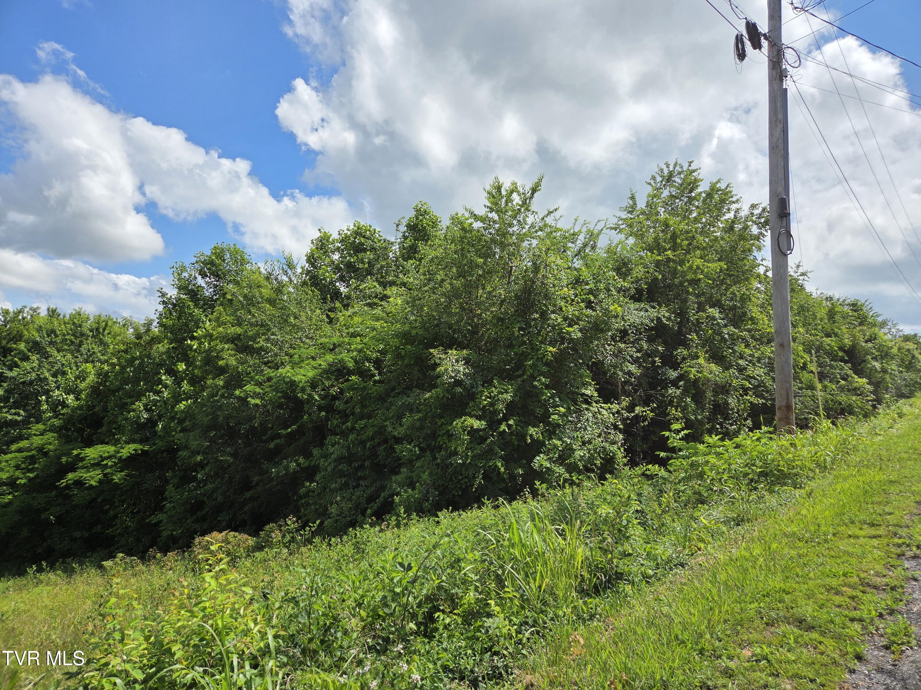 Tbd Pelican Lane, Greeneville, Tennessee image 1