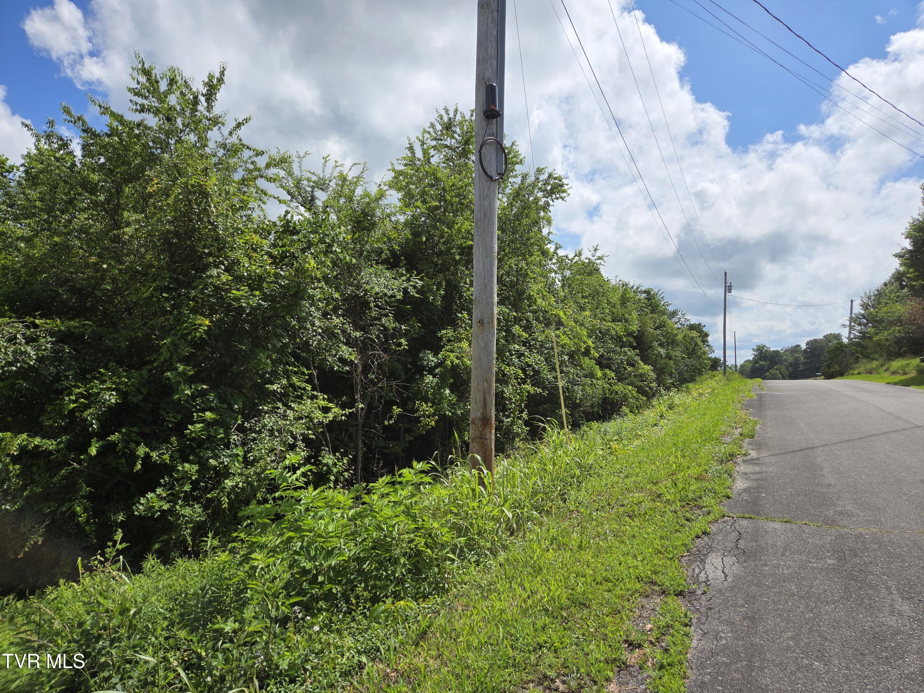 Tbd Pelican Lane, Greeneville, Tennessee image 2