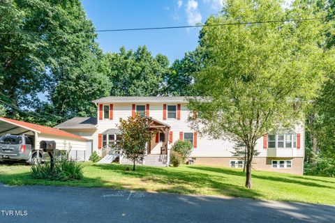 Photo of 107 Beecham Lane, Johnson City, TN 37604 (MLS # 9998397)
