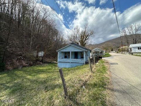 Homes For Sale - 164 Cardwell Town Road<br/> Smyth County, Saltville, VA 24370