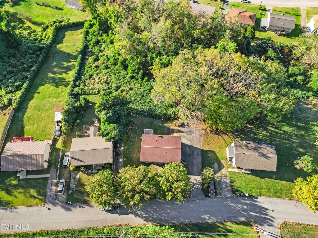 Photo of 115 Cedar Street, Greeneville, TN 37743 (MLS # 9987427)