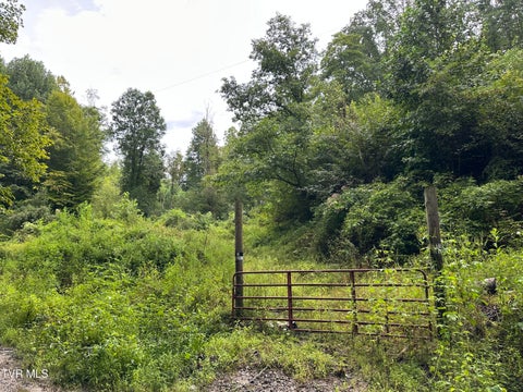 Vacant Land For Sale - TBD Canary Trail<br/> Pennington Gap, VA 24277