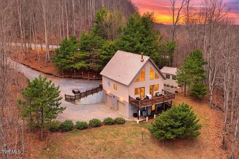 Photo of 408 Eagle Ridge Road, Roan Mountain, TN 37687 (MLS # 9992167)