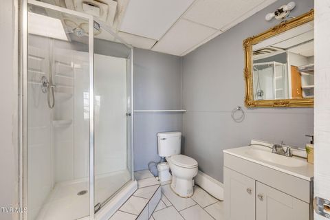 Tiny photo for 2728 Center Street #E, Kingsport, TN 37664 (MLS # 9989291)