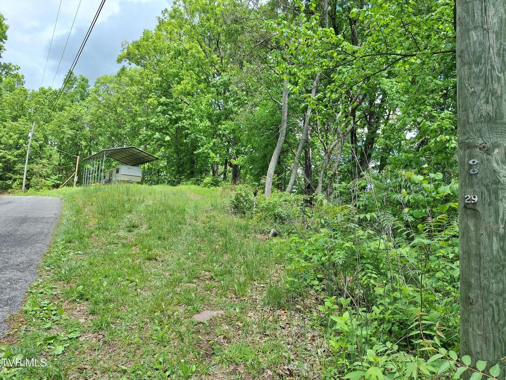 Photo of 409 Dean Road, Mooresburg, TN 37811 (MLS # 9991795)