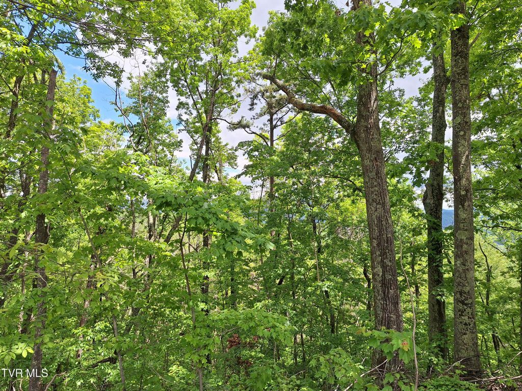 Photo of 409 Dean Road, Mooresburg, TN 37811 (MLS # 9991795)