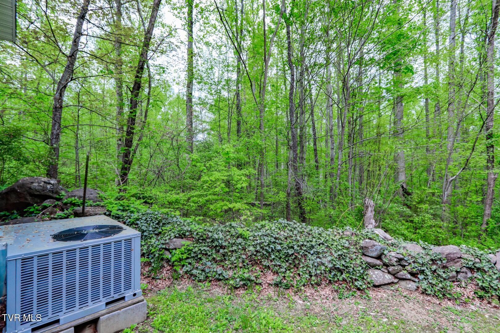 5355 East Parkway Lot 56 Pkwy, Cosby, Tennessee image 28