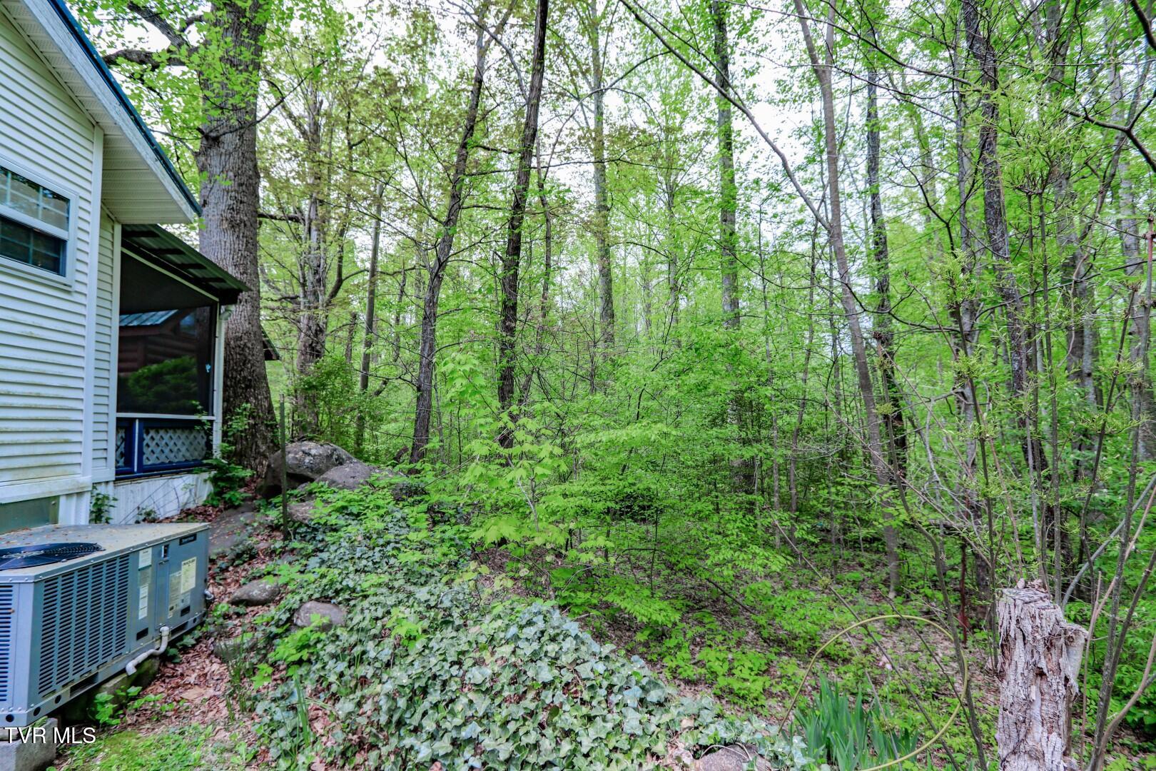 5355 East Parkway Lot 56 Pkwy, Cosby, Tennessee image 27