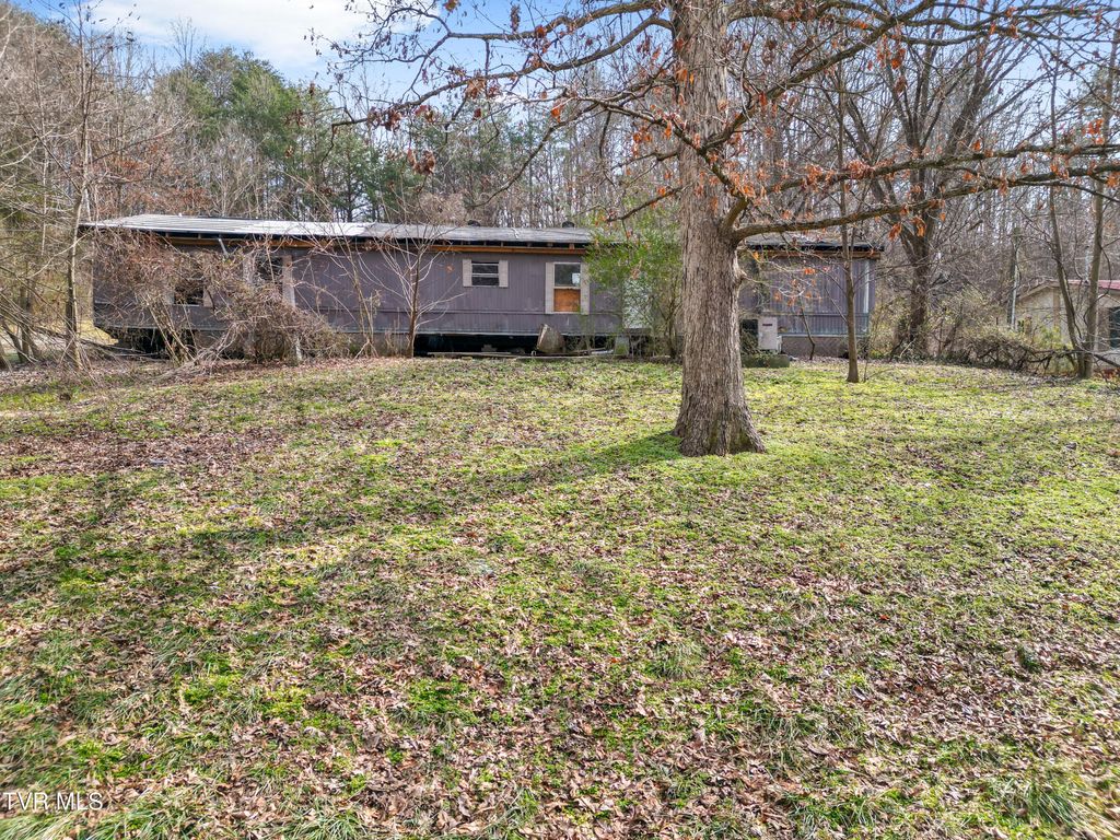 Photo of 219 Hartman Lane, Greeneville, TN 37743 (MLS # 9991096)