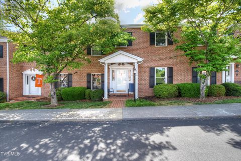 Photo of 2734 Oakland Avenue #B-9, Johnson City, TN 37601 (MLS # 9995384)